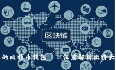 如何选择合适的比特币钱包——深度解析比特大